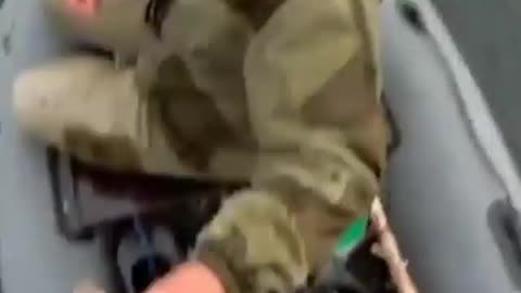 reptile attacks people