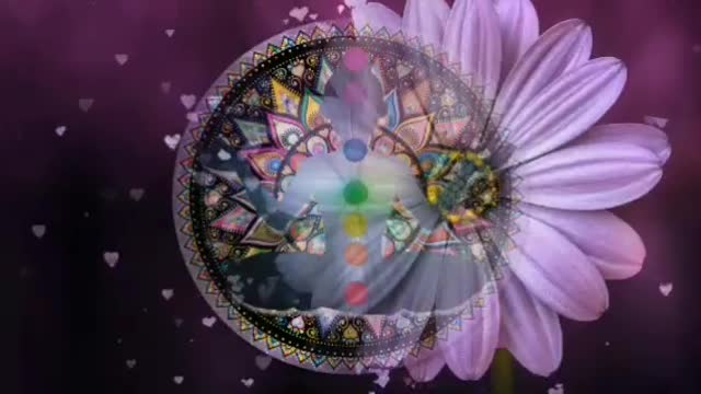 🌸Meditation Music Relax For The Mind & Body🌸