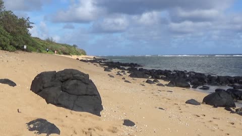 Kilauea, HI — Larsen's Beach - Ka'aka'aniu Beach