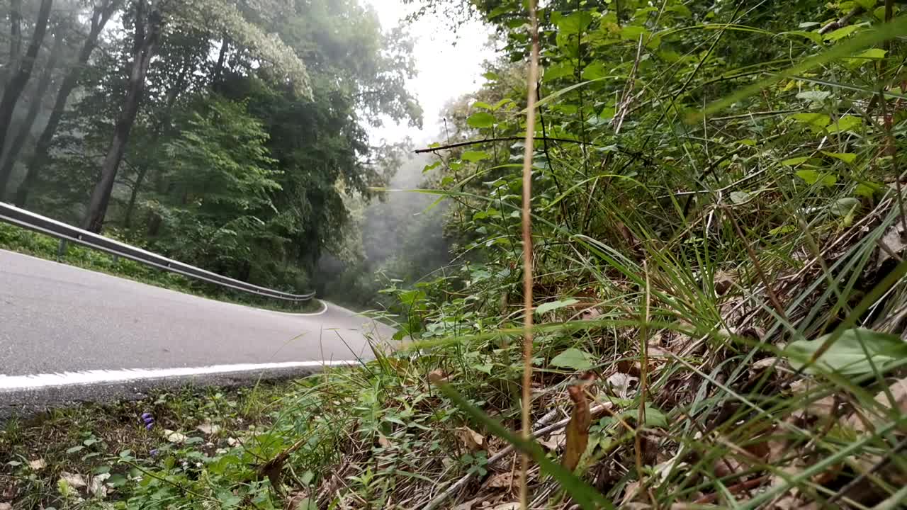 Somewhere in the mountains of Sochi.