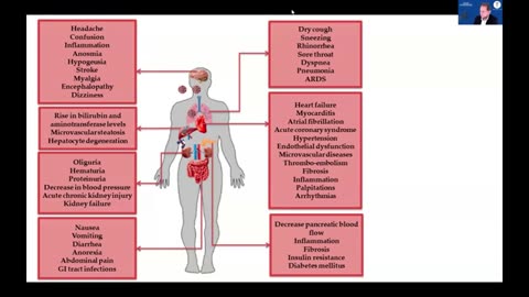 Wirkmechanismen der modRNA Inhaltstsoffe Dr. nat. Sabine C. Stebel 28.o6.2024