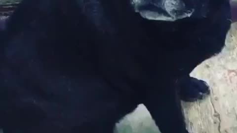 hanging out