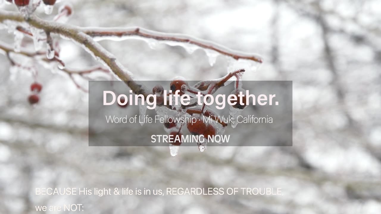Walking in the Light : LEDs not Mirrors - Apostle, Pastor Pat McDonald - January 7, 2024