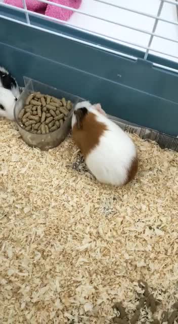 You will never be alone again