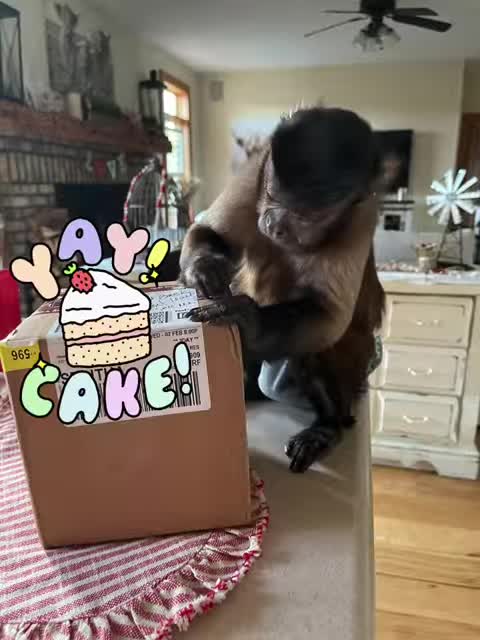 I’m back 3 whole days