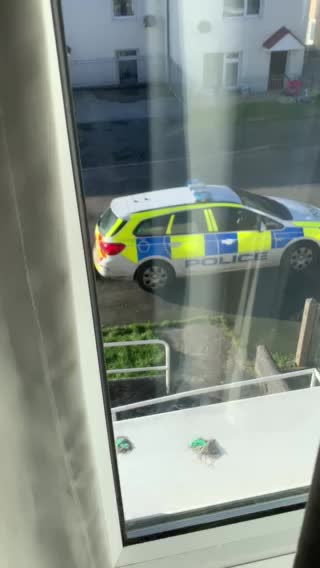 Police Covid Checking