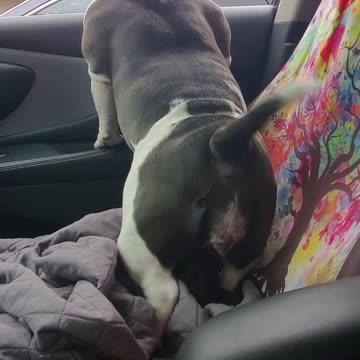 Sugar loves talking to everyone