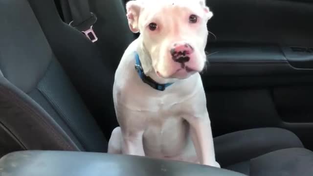 Sam upset and wants to go riding