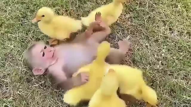 Best Friends
