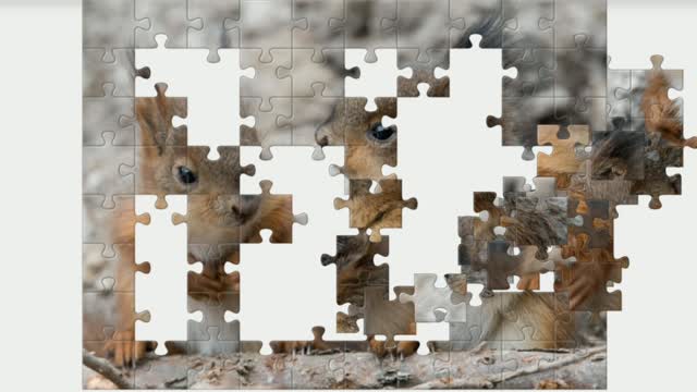 Puzzle. Two squirrels. Nature.