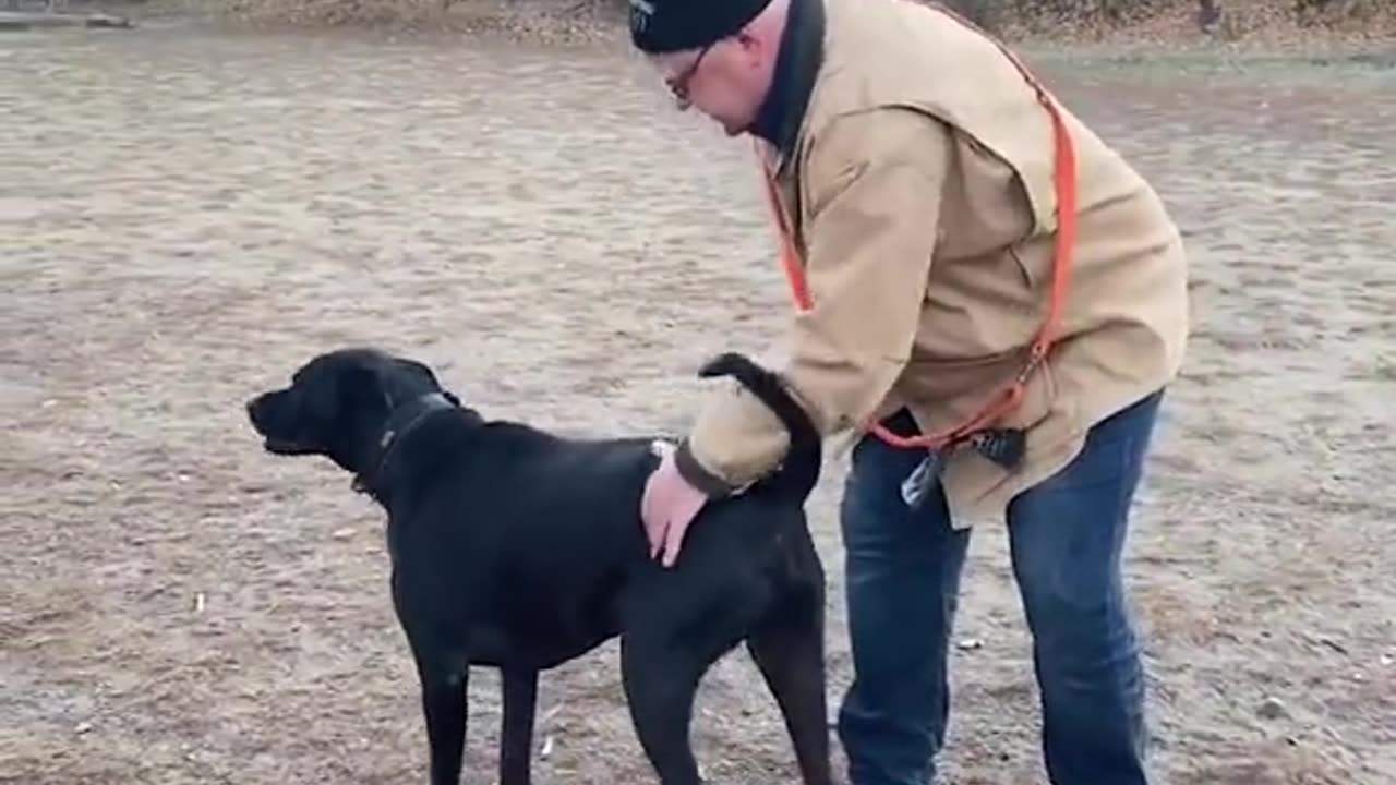 Tim Walz shares video of his dog scout at a dog park