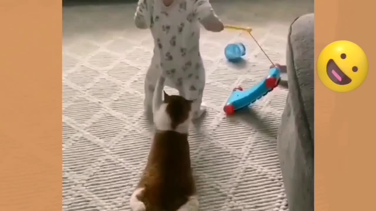 Cute Cat And Baby Fun