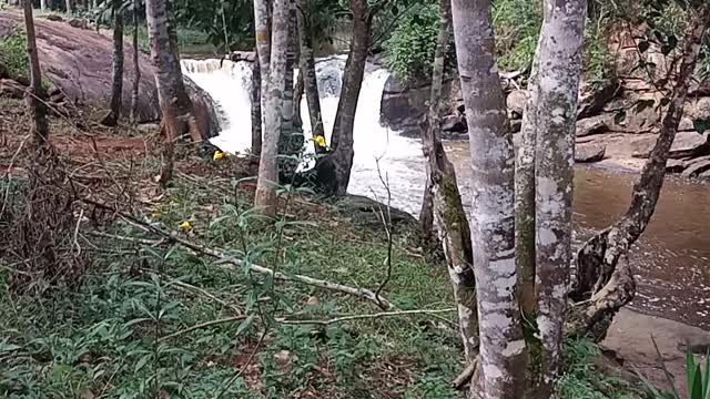 Finding a new waterfall in Brazil