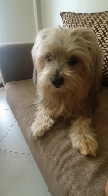 I'm exceptionally eager. give me some more