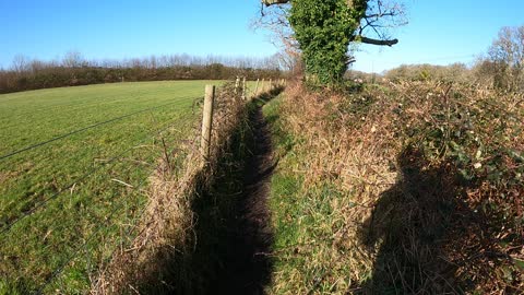 Ne6 forest hike . Speedlapse