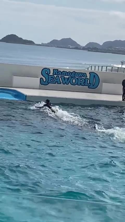 Amazing performance by Orca