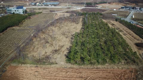 a Korea farm