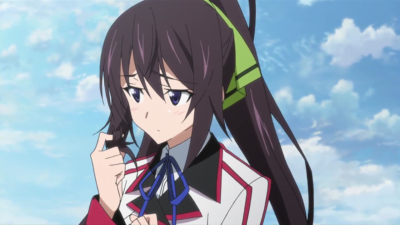 Infinite Stratos - Ichika and Houki