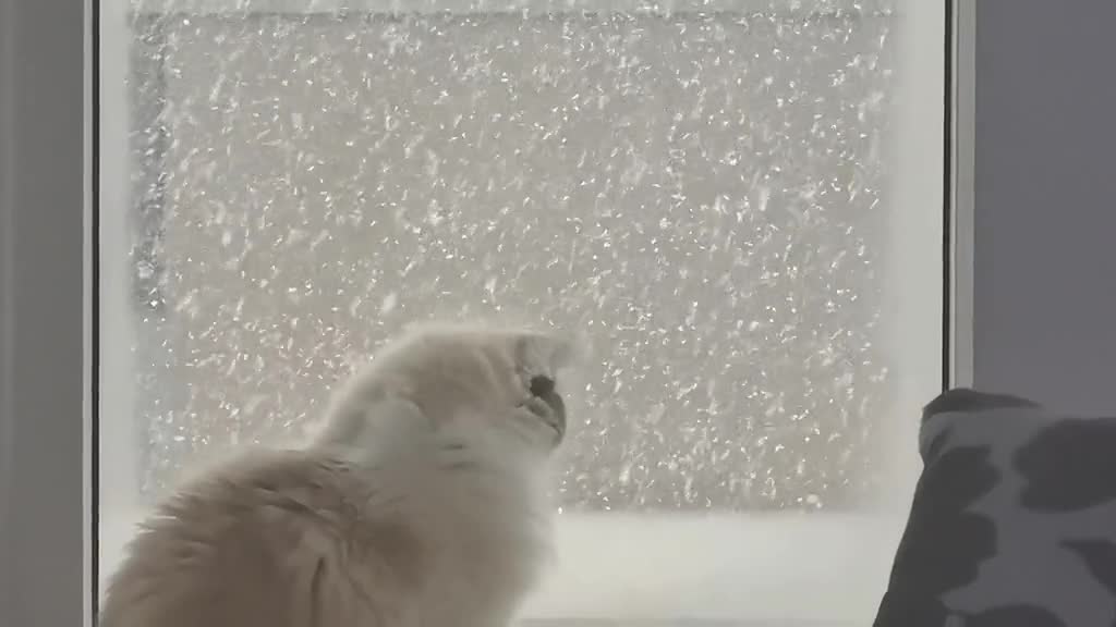 It's winter,It's snowing