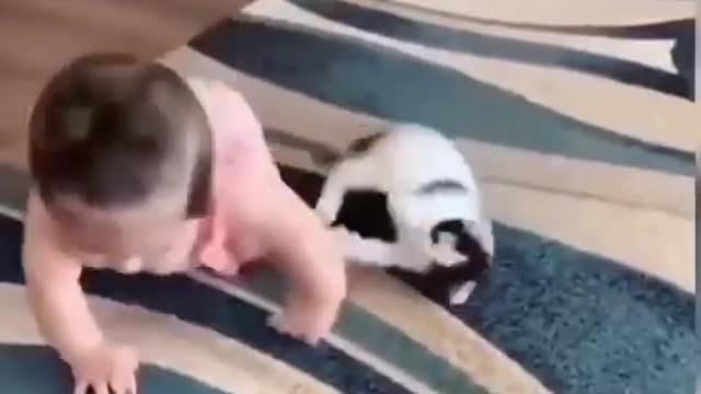 Very Funny Cat while a Boy