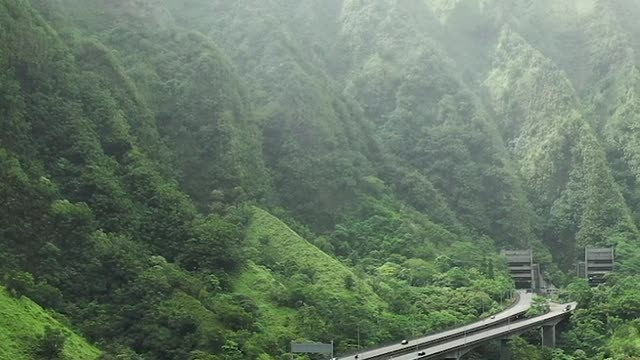 Elevated highway