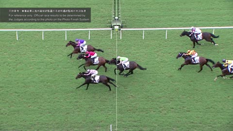Horse_Race_2022061205_Chinese