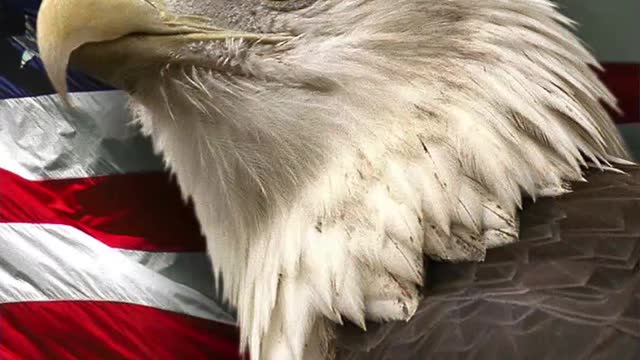 November 26, 2022 MAGA 🇺🇸