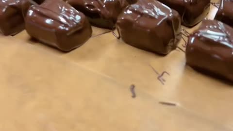 Happy World Chocolate Day! 🍫🍫🍫