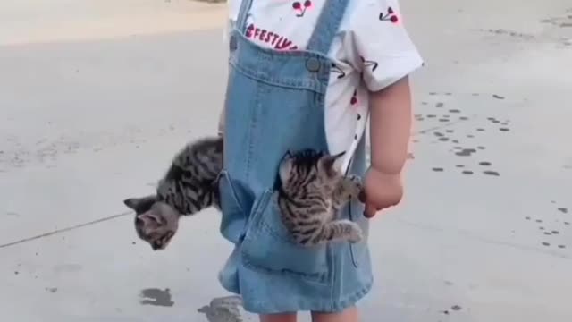 Baby 😻Kittens Love cats? Like & Share