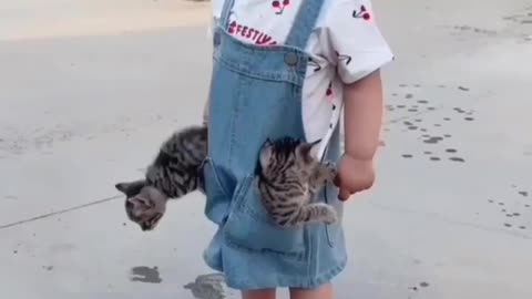 Baby 😻Kittens Love cats? Like & Share