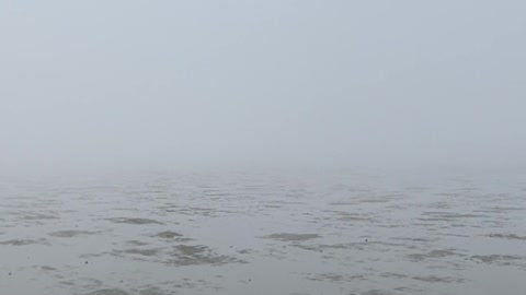 fog over the tidal flats