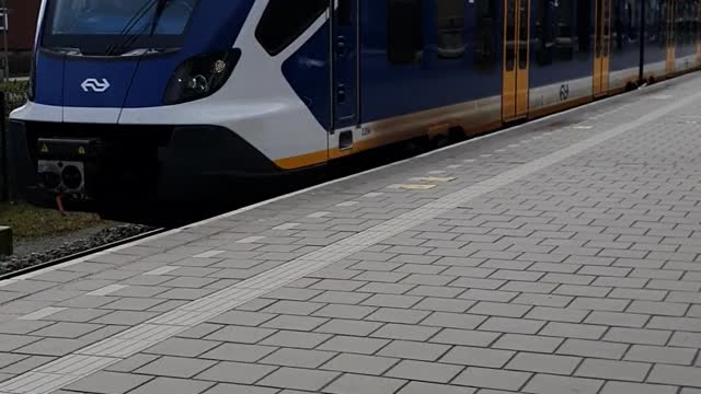 Trin nederland