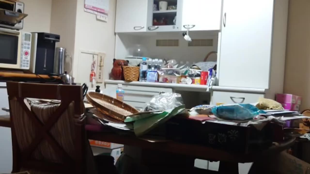 蕨秘密?デモ 渡辺賢一