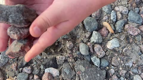 Rock Hounding The Local Lake