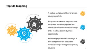 Protein Sequencing