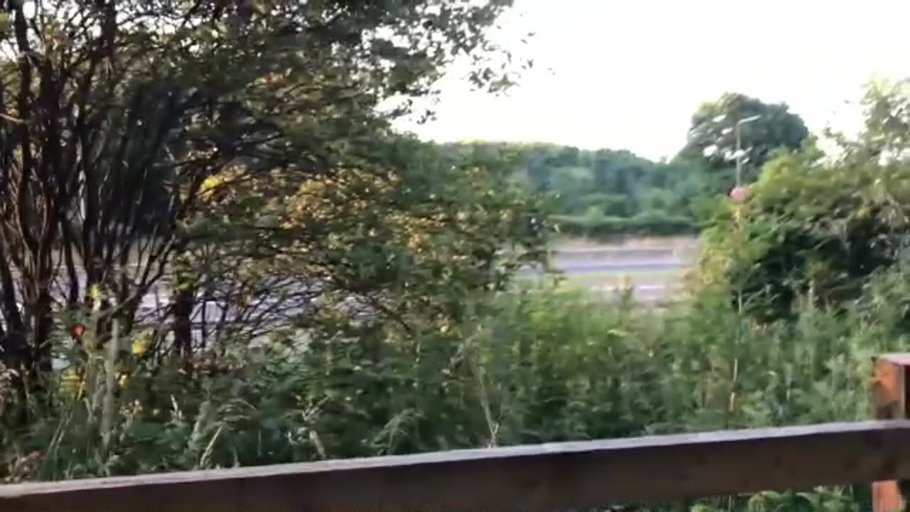 a UFO mugged a local woodsman and his dog