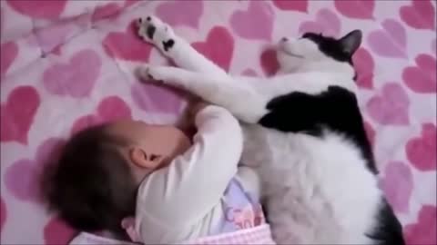 Two babies next to each other..FUNNIEST CATS COMPILATION! A MUST SEE!
