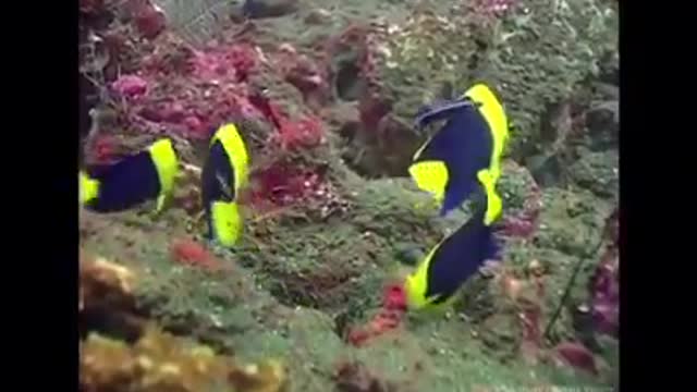 Time with God - November 7