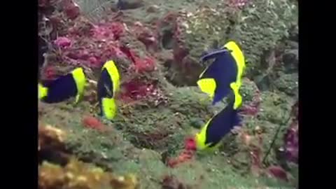 Time with God - November 7