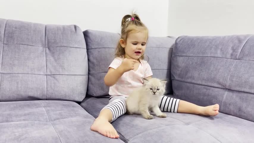 Funny_Baby_Meets_New_Baby_Kitten_for_the_First_Time