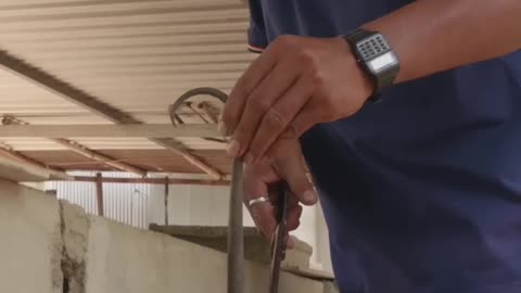 The Ultimate Guide to Raising and Cooking Delicious Rat Meat
