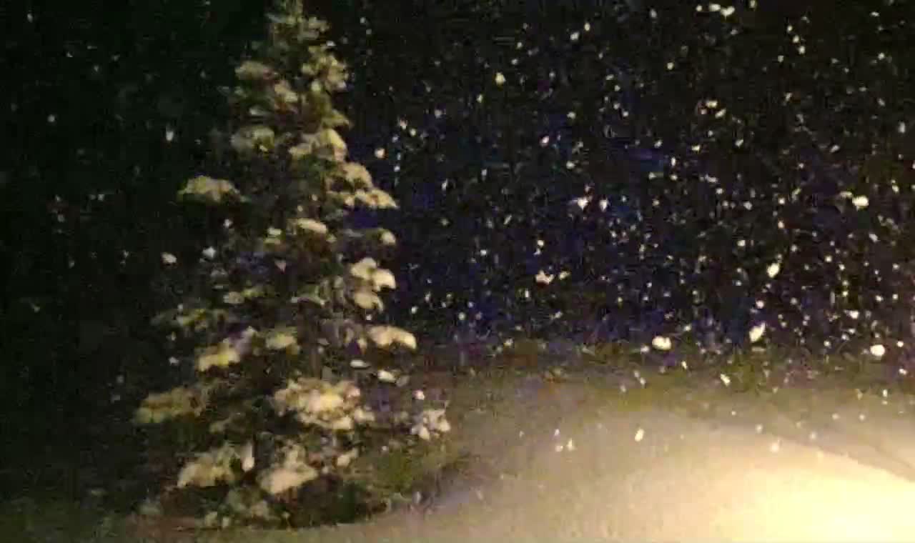 Giant Idaho Snowflakes