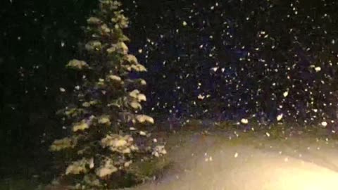 Giant Idaho Snowflakes