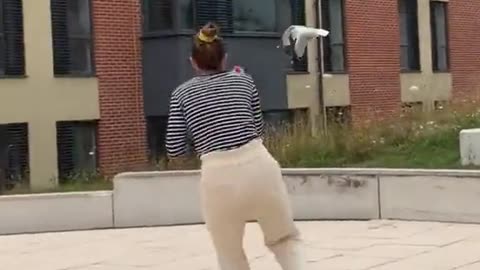 Seagull Steals a Mobile Phone