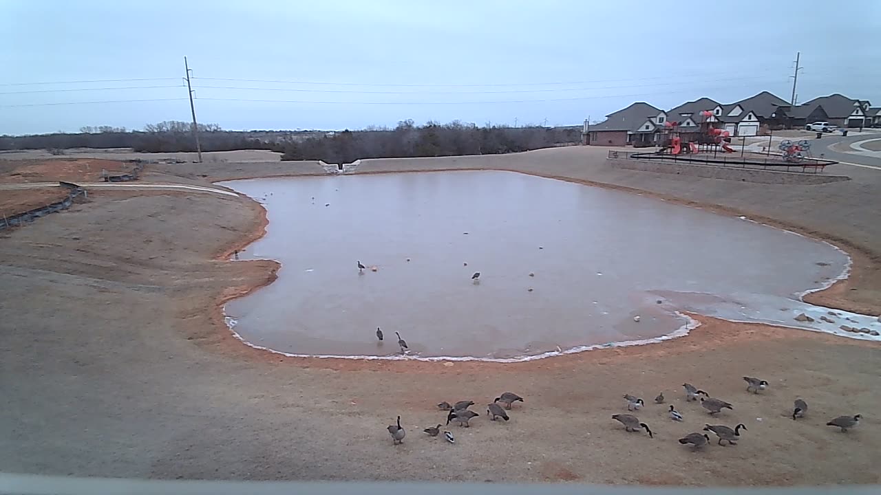 The Pond
