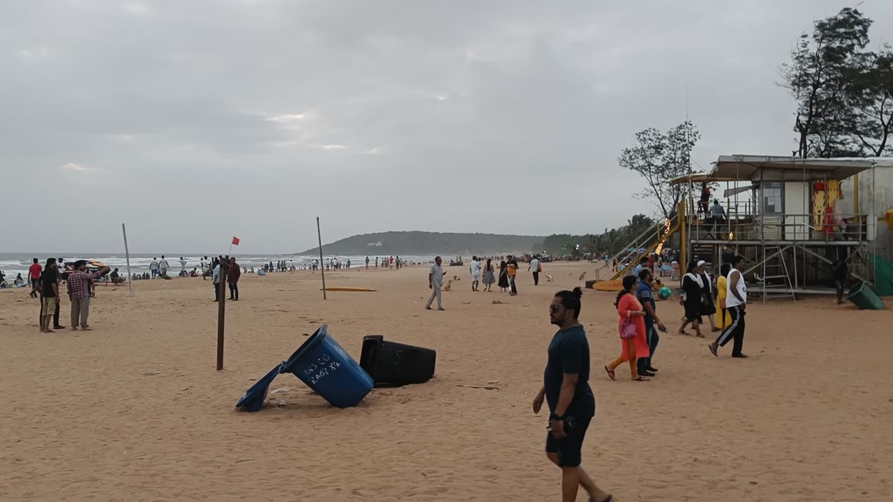 Goa beech