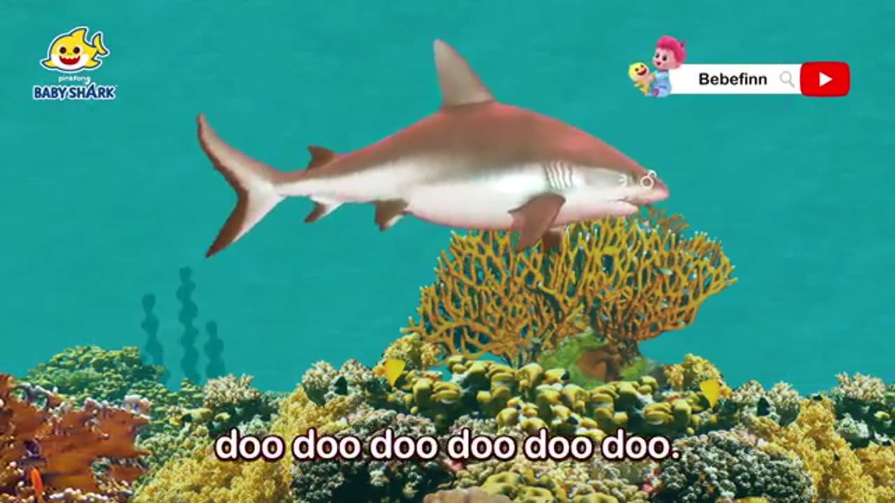 Baby Shark Doo Doo Doo and More