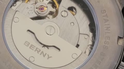 BERNY Watch for Men Mechanical Automatic Watches Seagull Luxury Brand Male Clock Wat