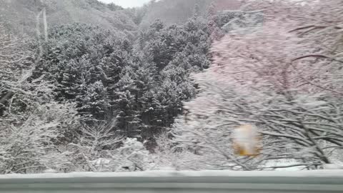 The beautiful snow scene of Gangwon-do.