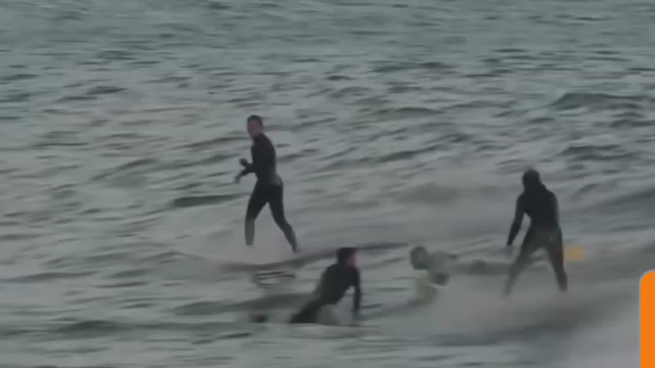 Surfing 🏄‍♂️ with Dolphins 🐬👌😍!!!